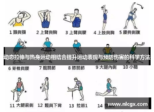 动态拉伸与热身运动相结合提升运动表现与预防伤害的科学方法